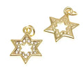 Cz Star of David with Rim Charm