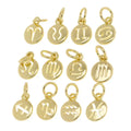 Zodiac Charm