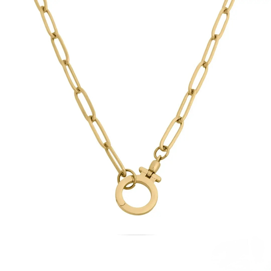 Circle Carabiner Necklace