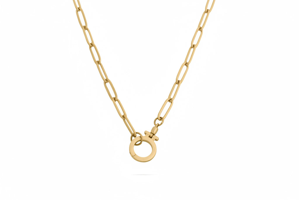 Circle Carabiner Necklace