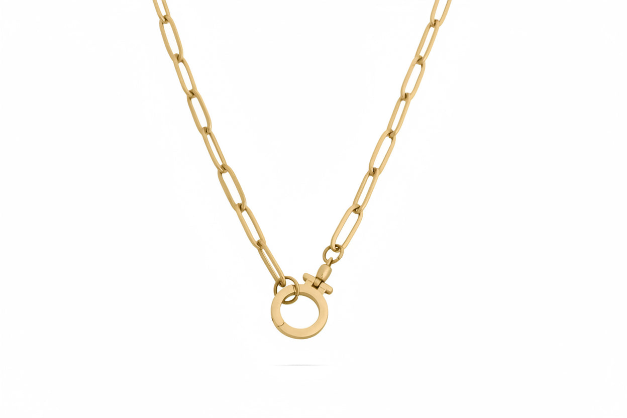 Circle Carabiner Necklace