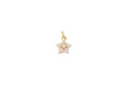 Cz Star Charm