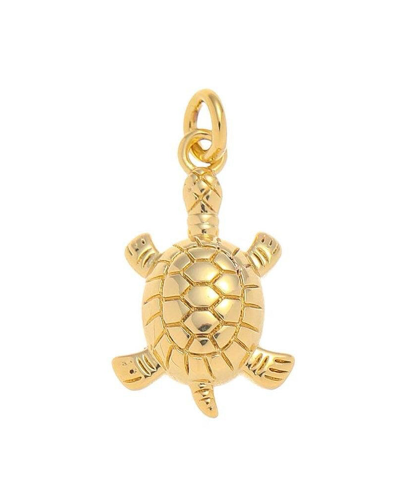 Sea Turtle Charm