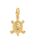 Sea Turtle Charm