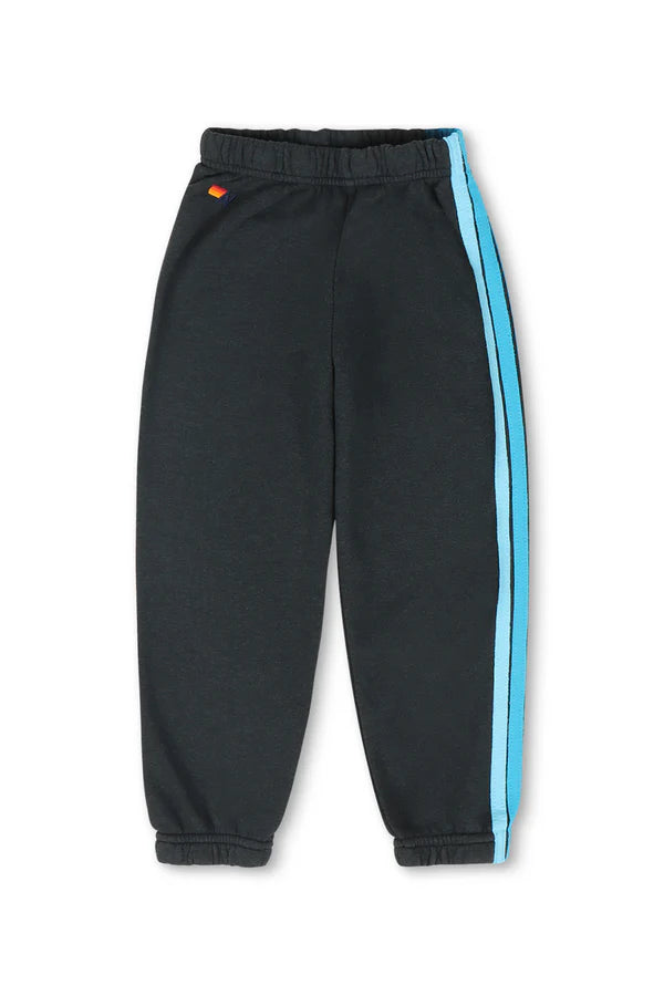 Aviator Nation 5 Stripe Sweatpants- Charcoal Blue
