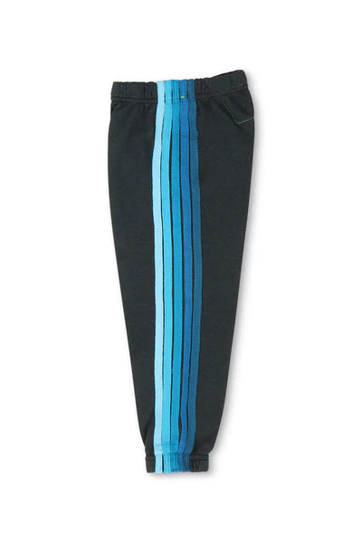 Aviator Nation 5 Stripe Sweatpants- Charcoal Blue